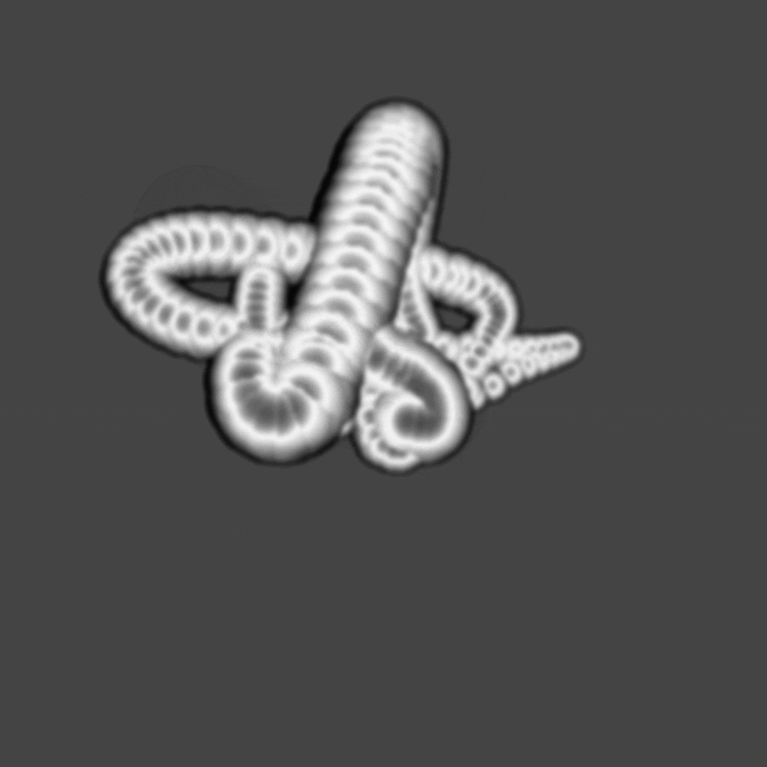 project-image