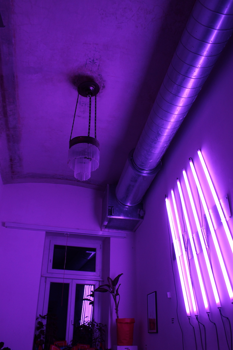project-image