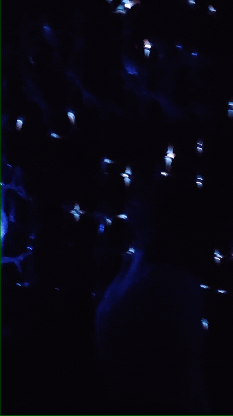 project-image